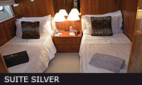 suite silver